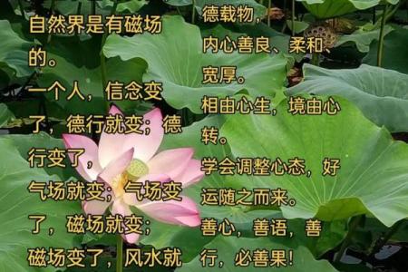 风水物作用：客观上建立起信心
