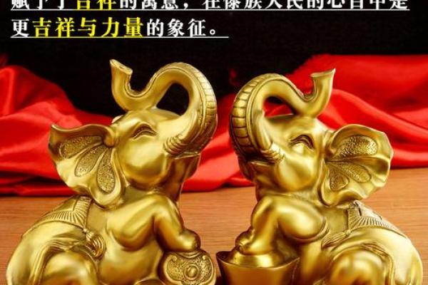 风水图片_枕巾用大象图案好吗