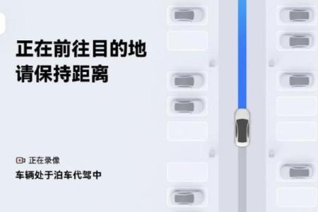 开车风水