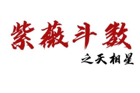 2000年紫薇斗数