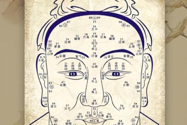 人中看相算命图解大全 人中看相算命图解大全