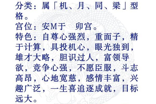 紫薇斗数命格