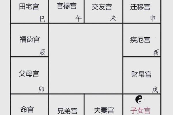 紫薇斗数与紫薇星盘