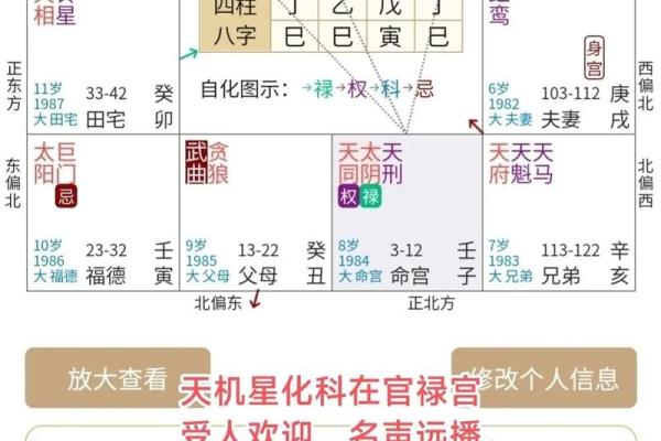 紫微排盘,科星逢破格命格详解