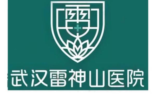 起名风水_火神山和雷神山名字的由来是什么