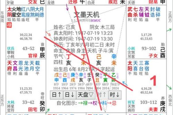 紫薇斗数中看长相