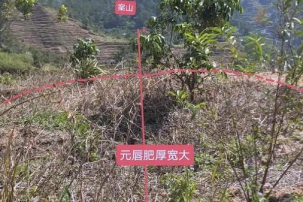 如何分析家中的财运风水宝地？