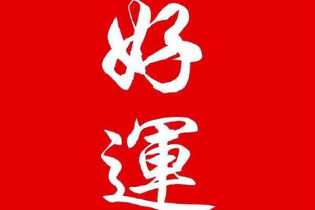 月老灵签生肖排行榜最新