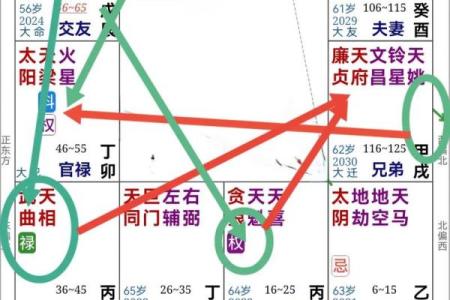 刘嘉玲命理紫薇斗数