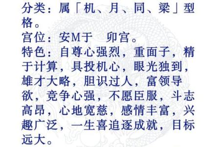 紫薇斗数命格