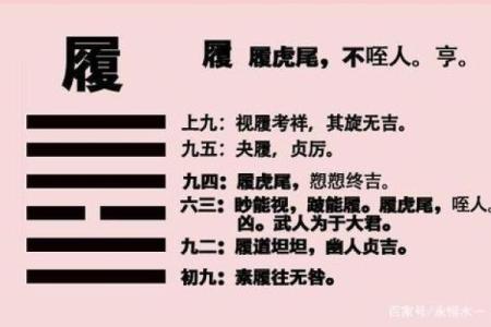 履卦风水