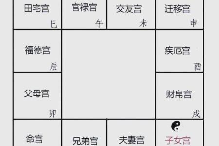 紫薇斗数与紫薇星盘