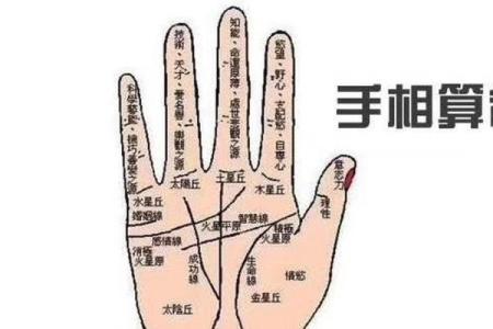男人手相算命图解揭密男人命运
