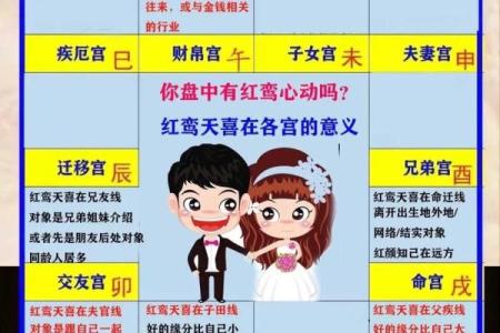紫薇斗数财帛红鸾