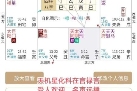 紫微排盘,科星逢破格命格详解