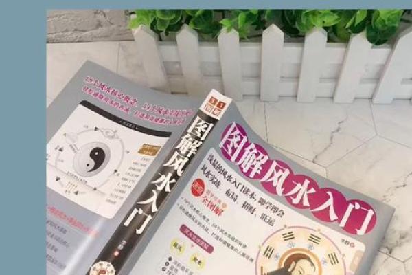 看风水入门，看风水入门书