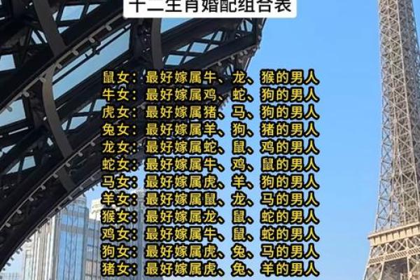 十二生肖的最佳婚姻配对