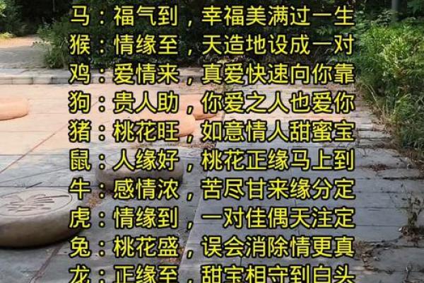 测感情姻缘 测姻缘配对？