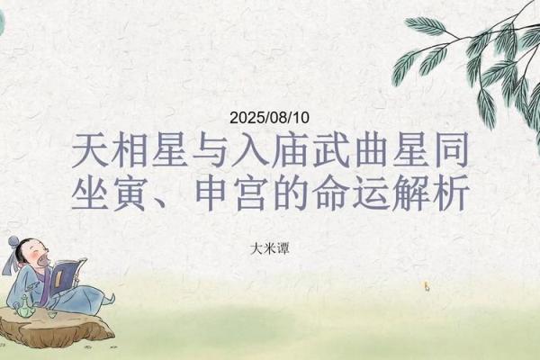 紫微斗数之交友宫与诸星，天相星在交友宫是什么意思？