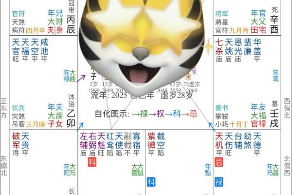 紫薇斗数app准吗