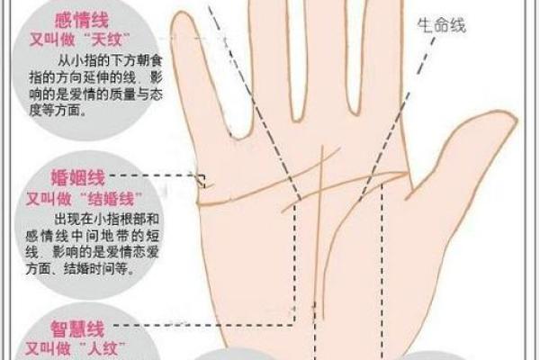 手线算命
