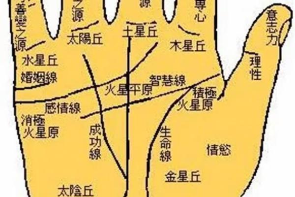 掌纹在线算命