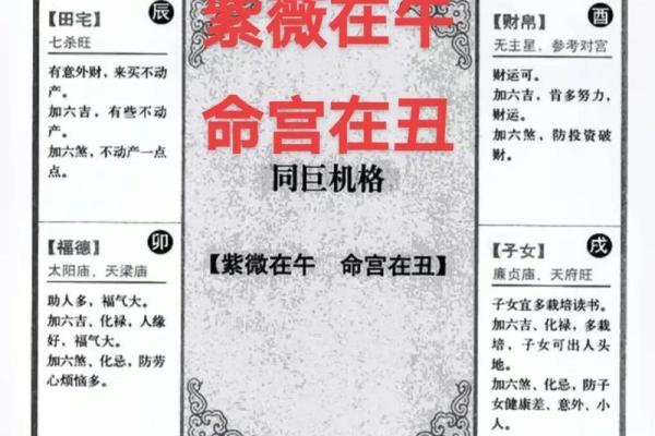 紫薇斗数紫薇入命宫