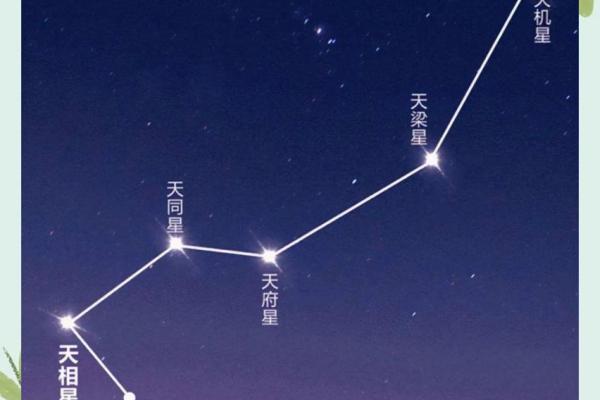 迁移宫紫薇星权天相星什么意思
