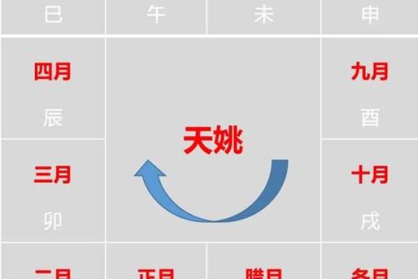 紫薇斗数手工排盘视频
