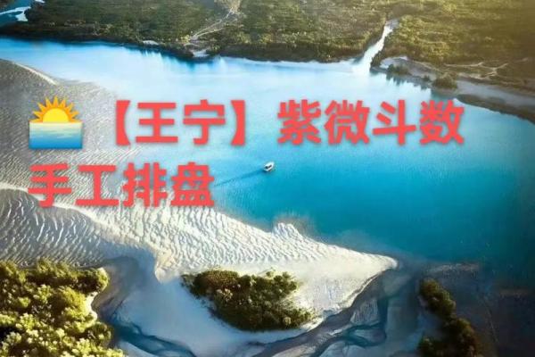 紫薇斗数手工排盘视频