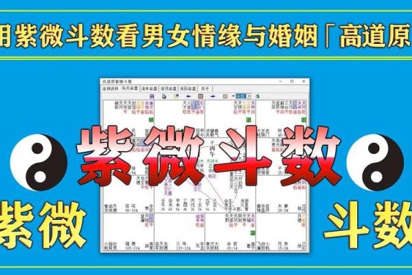 紫薇斗数高道原