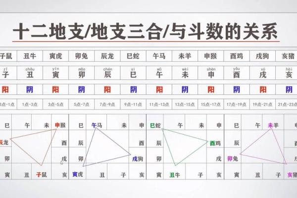 紫薇斗数高道原