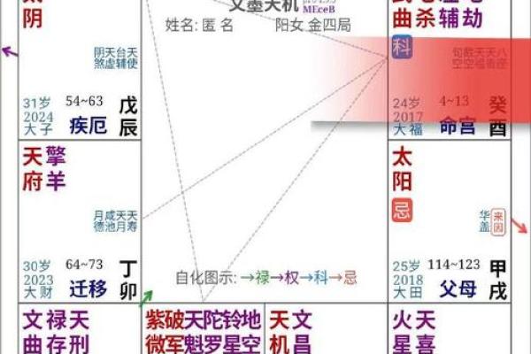 紫薇斗数宫位破