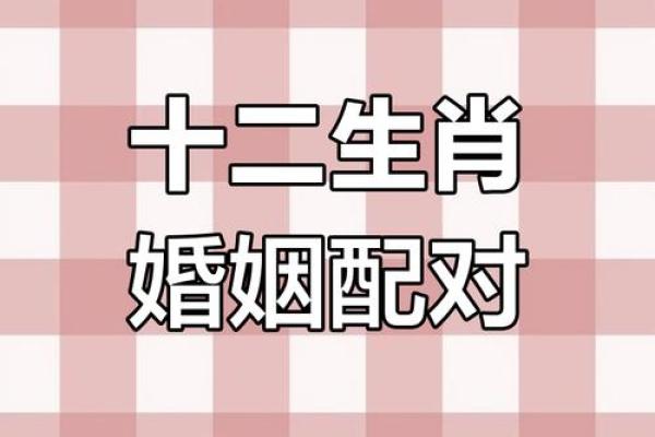 属牛女的婚姻配对更佳属相