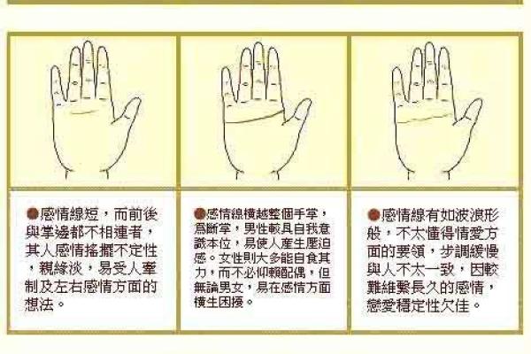 手相风水：爱情线怎么看有几段感情