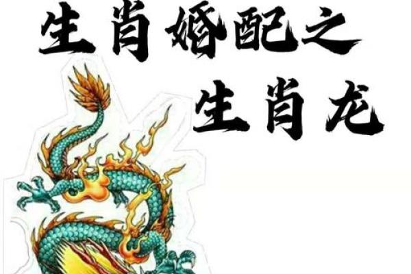 龙跟什么生肖配对最好 生肖龙最佳配对