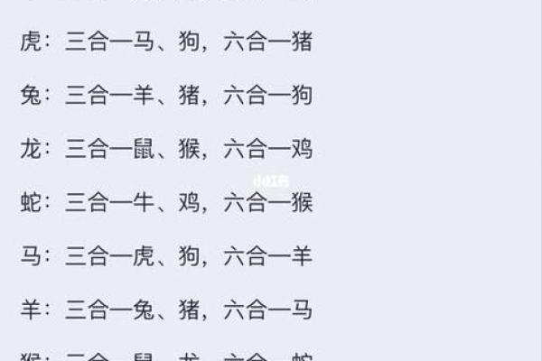 99年属什么今年多大 生肖配对