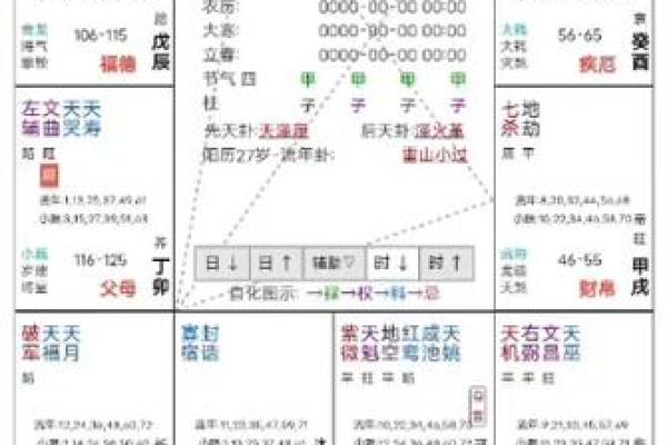 紫微斗数实战 紫微斗数实战案例？