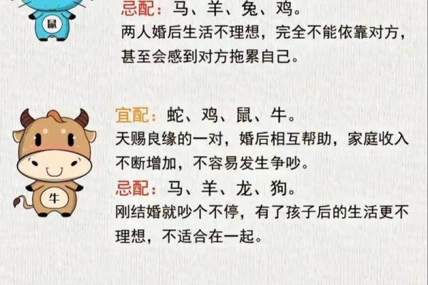 94年属什么的生肖是什么命 94年属什么的生肖配对