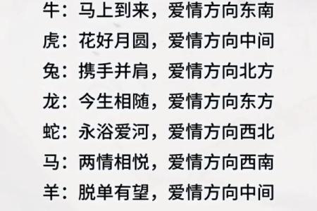 单身者福音，有利于爱情的风水