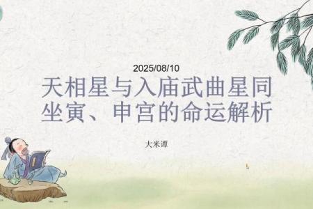 紫微斗数之交友宫与诸星，天相星在交友宫是什么意思？