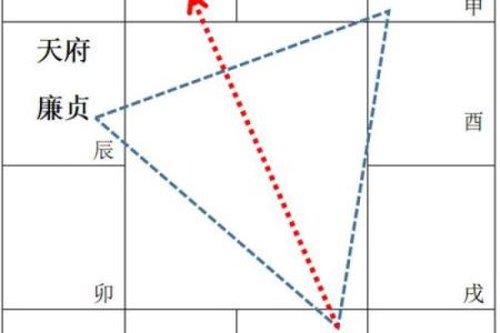 迁移宫紫薇星权天相星什么意思