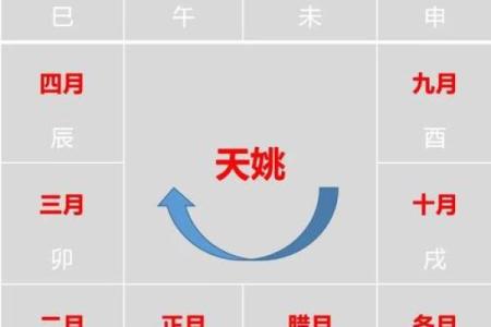紫薇斗数手工排盘视频