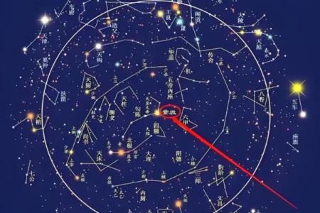 年紫薇星降世