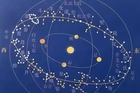预言紫薇星出世
