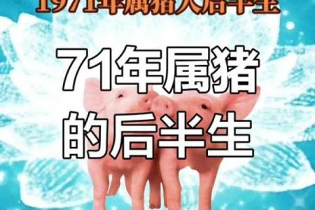 71年属猪和75年属兔相配吗 互补默契配对理想