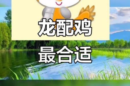 龙跟什么生肖配对最好 生肖龙最佳配对