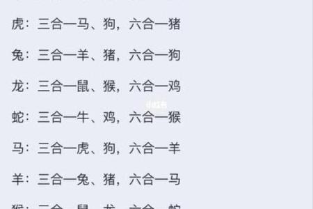 99年属什么今年多大 生肖配对