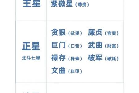 紫微斗数实战 紫微斗数实战案例？