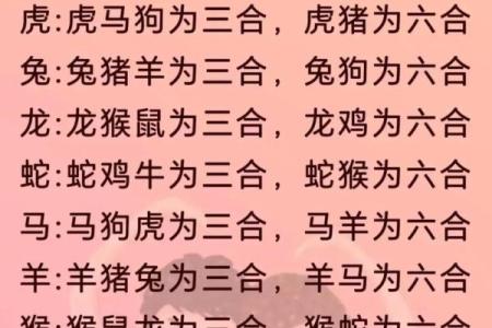 牛的配对属相婚配表